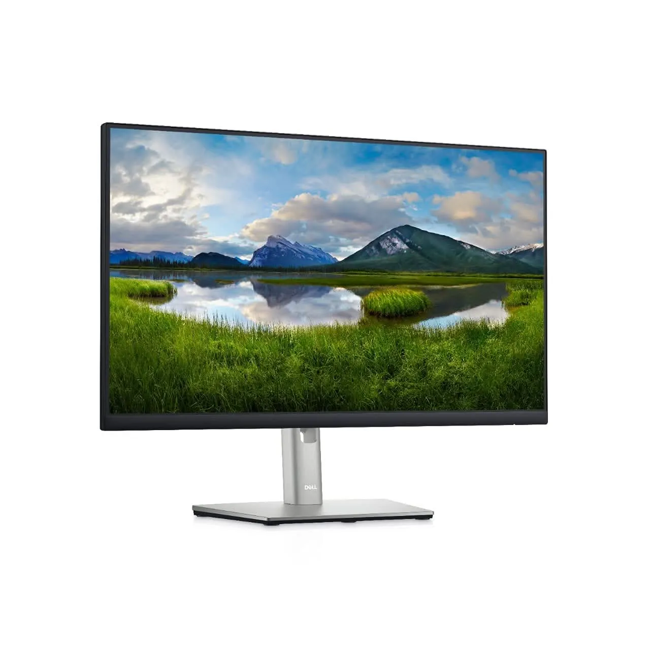 DELL 23.8 INCH P2422HE FHD IPS MONITOR