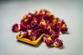 Ice Kachang V2 Tactile Switches (Hand Lubed or Unlubed)