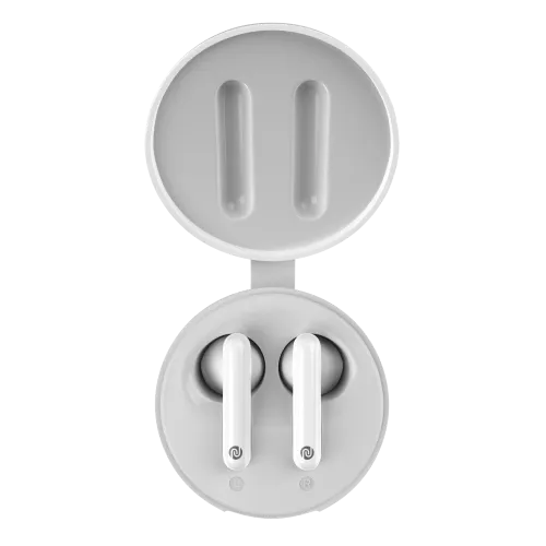 Noise Buds VS304 Truly Wireless Earbuds