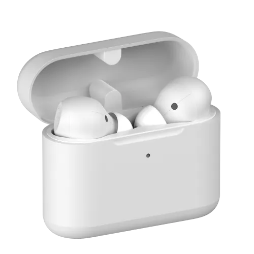 Noise IntelliBuds Truly Wireless Earbuds