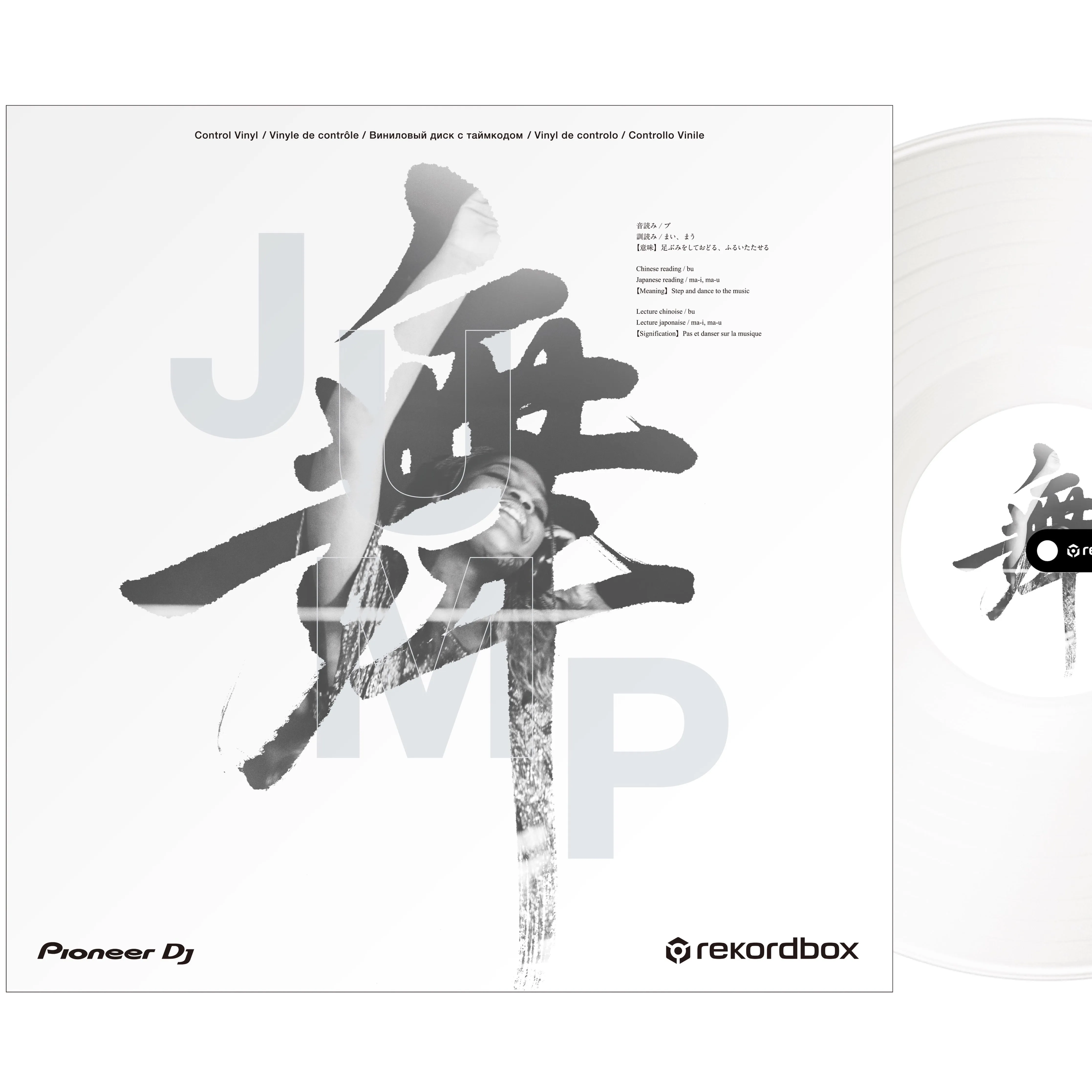 Pioneer RB-VD2-W Control Vinyl for rekordbox, Pair, Kanji Design, White