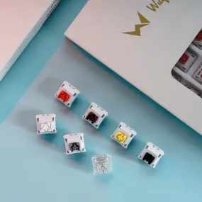 Wuque Studio - WS Brown Tactile Switches
